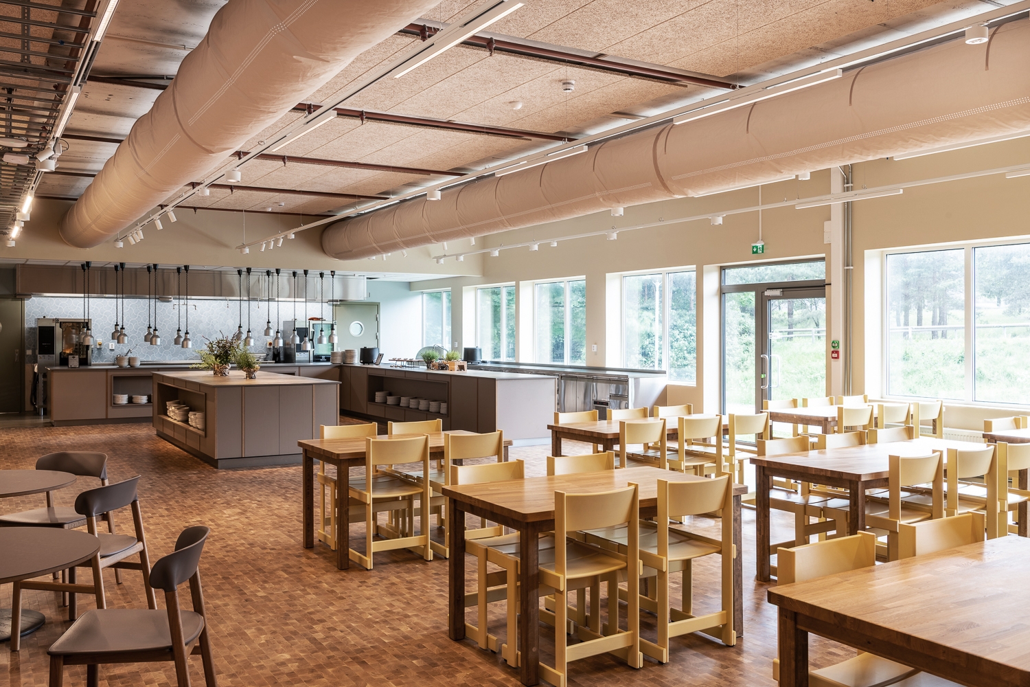 S20 Felles Vinter photo Niklas Hart lowr 3 justert